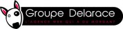 logo Groupe Delarace