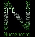 logo Numéricard